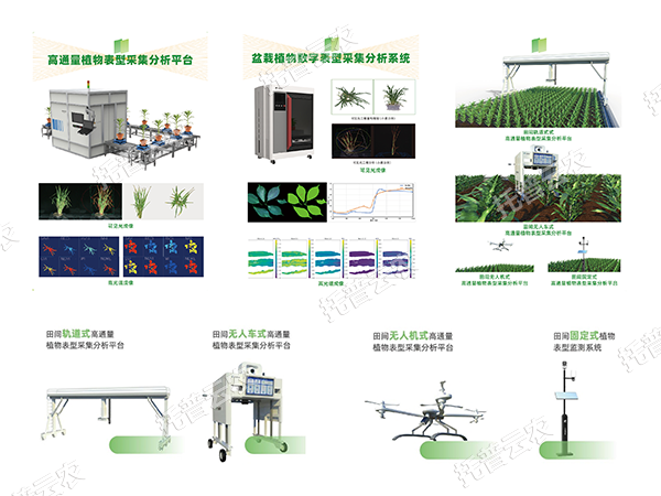AI+農(nóng)業(yè)新突破！托普高通量植物表型智能分析平臺助力智慧農(nóng)業(yè)創(chuàng)新發(fā)展